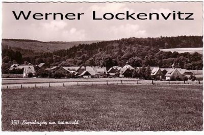 Ansichtskarte Löwenhagen am Bramwald Ortsansicht