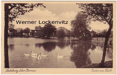 Ansichtskarte Ladeburg über Bernau Partie am Teich