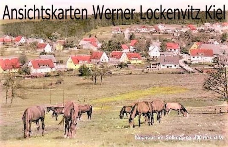 Ansichtskarte Holzminden-Neuhaus im Solling Ortsansicht Panorama Pferde