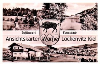Ansichtskarte Dietzhölztal-Ewersbach Wildschwein Panoramen Einzelhaus 