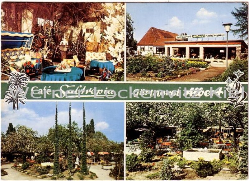 Ansichtskarte Bremen Cafe Subtropia Bes. August Albert Gärtnerei