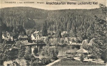 Ansichtskarte Triberg im Schwarzwald Bergsee