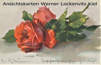 Ansichtskarte Rote Rosen Gemälde sign. C. Klein Rosenzauber